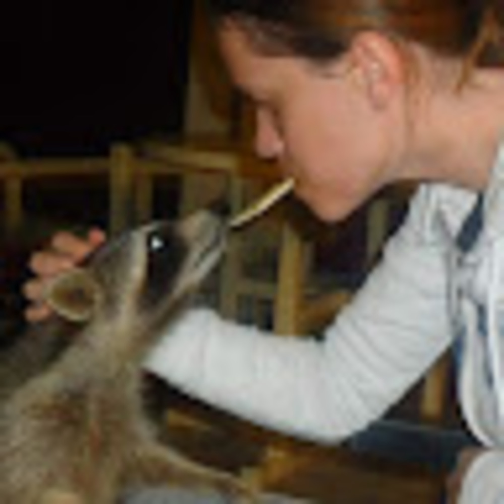 Meet your Posher, Simone